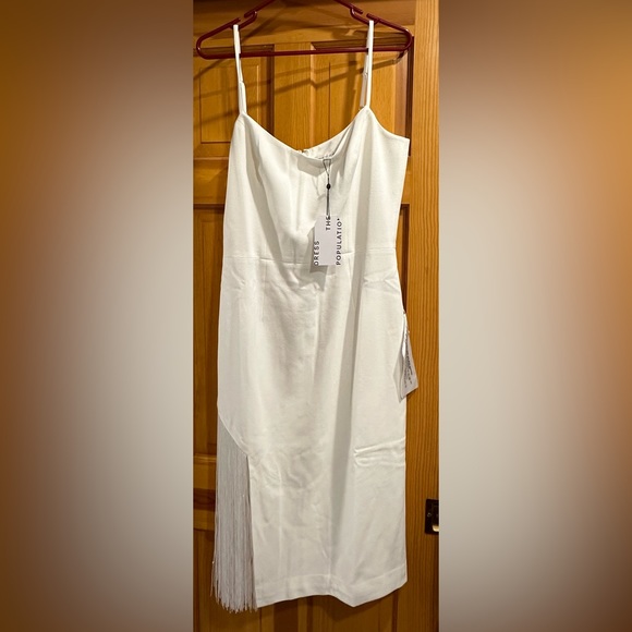 Perfect white fringe bachelorette dress! - Picture 8 of 8